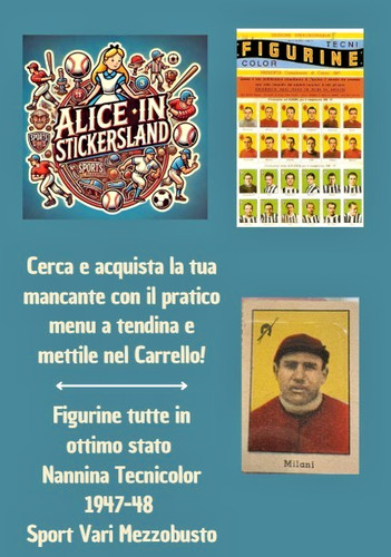 Figurina nannina tecnicolor - figurina,